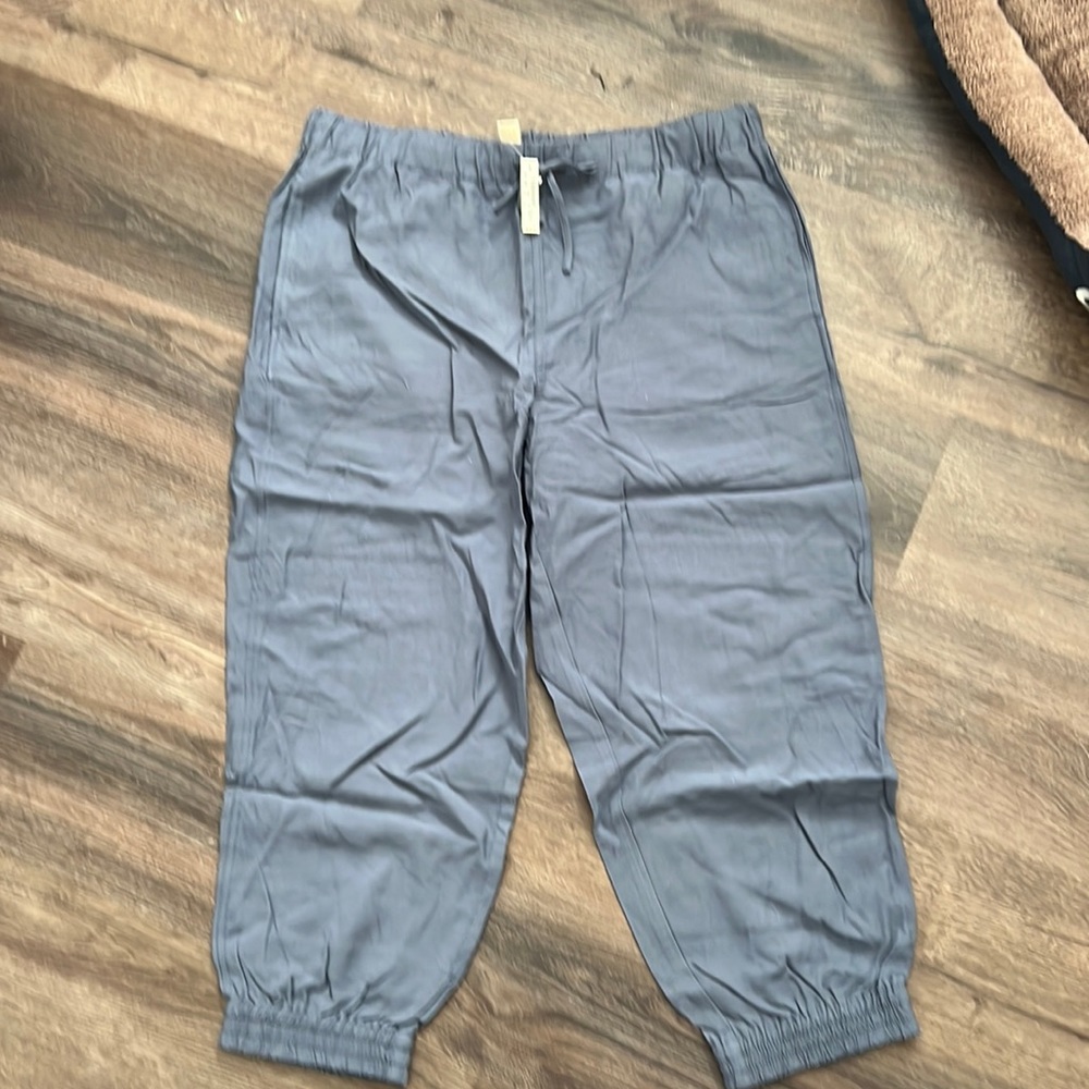 NWT Madewell Fancy Joggers